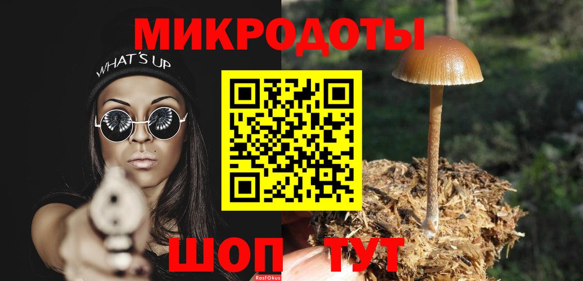 Галлюциногенные грибы MAGIC MUSHROOMS  Вход с VPN  Киселёвск 