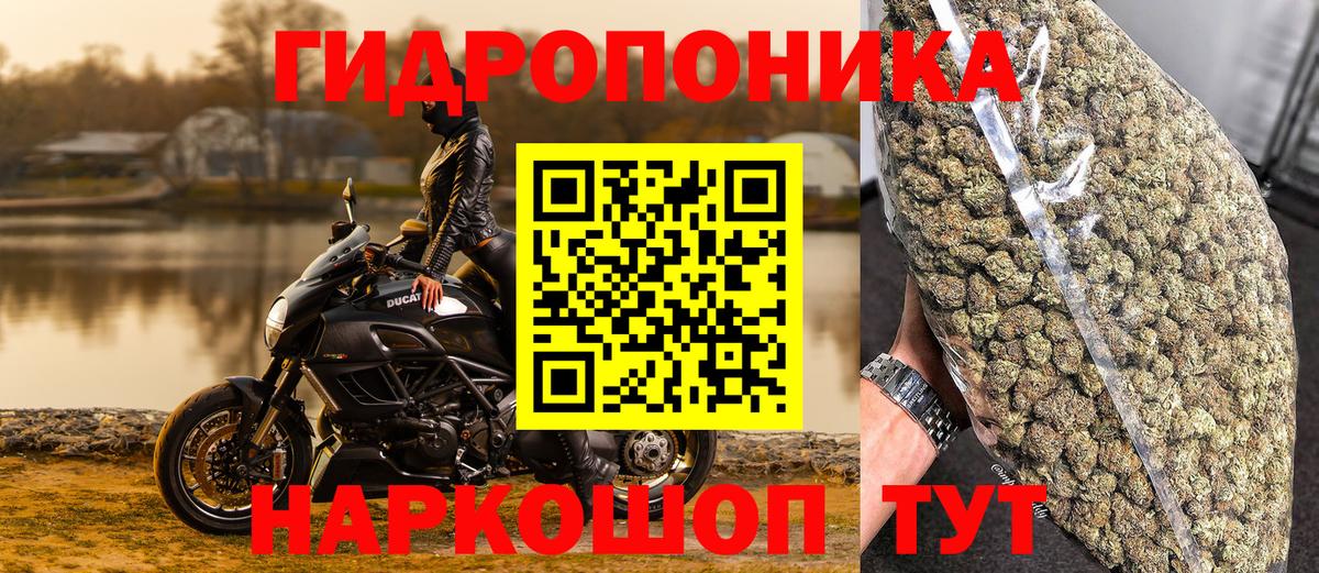 Марихуана планчик Киселёвск